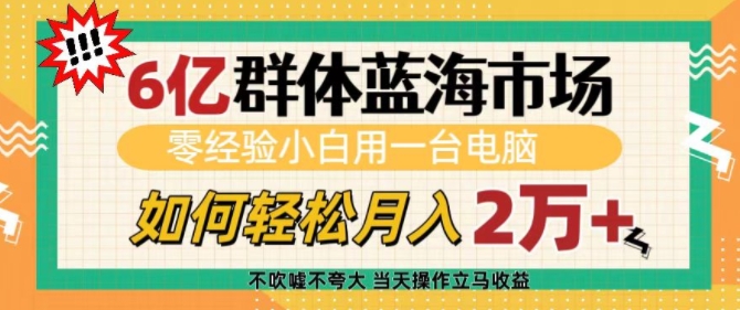 6亿群体蓝海市场，零经验小白用一台电脑，如何轻松月入过w【揭秘】-成长印记