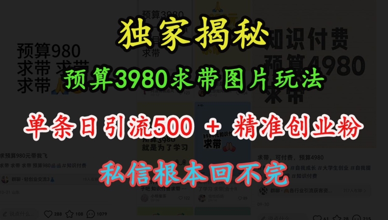 预算3980求带 图片玩法，单条日引流500+精准创业粉，私信根本回不完-成长印记