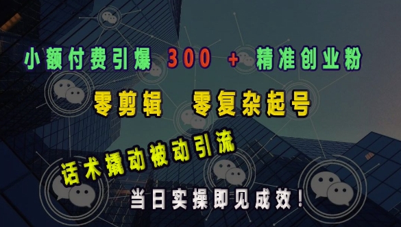 小额付费引爆 300 + 精准创业粉，零剪辑、零复杂起号，话术撬动被动引流，当日实操即见成效-成长印记