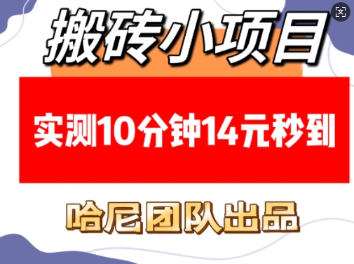 搬砖小项目，实测10分钟14元秒到，每天稳定几张(赠送必看稳定)-成长印记