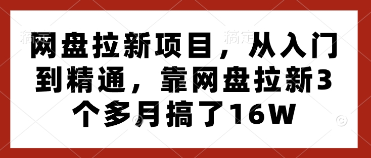 网盘拉新项目，从入门到精通，靠网盘拉新3个多月搞了16W-成长印记