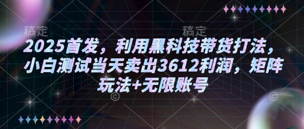 2025首发，利用黑科技带货打法，小白测试当天卖出3612利润，矩阵玩法+无限账号【揭秘】-成长印记