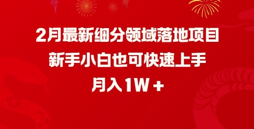 2月最新细分领域落地项目，新手小白也可快速上手，月入1W-成长印记