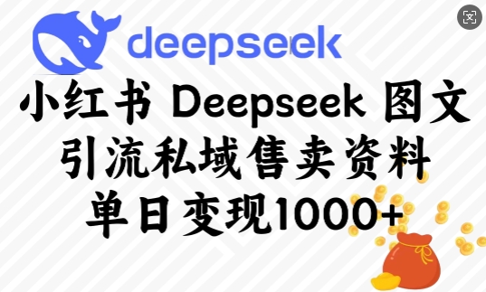 小红书Deepseek图文引流私域售卖资料，单日变现多张-成长印记