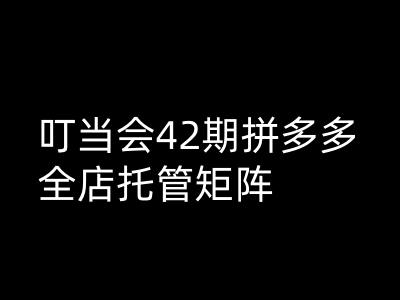 叮当会拼多多打爆班原创高阶技术第42期，拼多多全店托管矩阵-成长印记