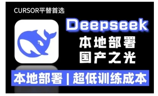 2025年deepseek R1 大型模型本地安装部署(文件+教程)本地部署，超低训练成本-成长印记