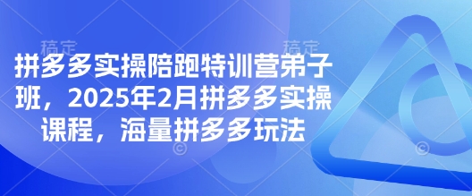 拼多多实操陪跑特训营弟子班，2025年2月拼多多实操课程，海量拼多多玩法-成长印记