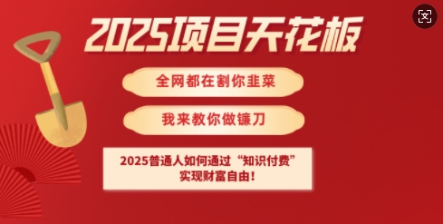 2025项目天花板普通人如何通过知识付费，实现财F自由【揭秘】-成长印记