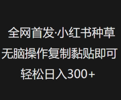 全网首发，小红书种草无脑操作，复制黏贴即可，轻松日入3张-成长印记