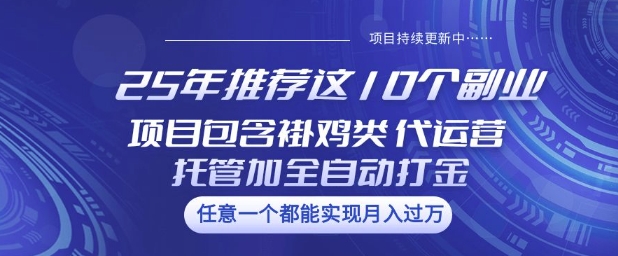 25年推荐这10个副业项目包含褂鸡类、代运营托管类、全自动打金类【揭秘】-成长印记