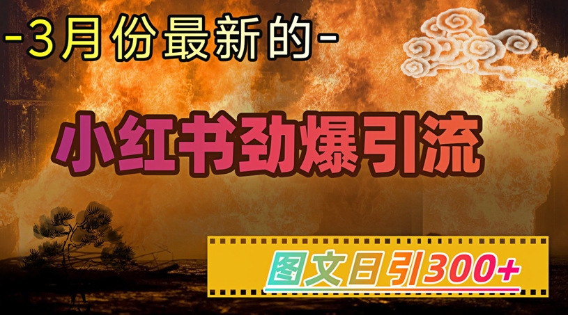 小红书超劲爆引流手段，图文日引300+轻松变现1W-成长印记