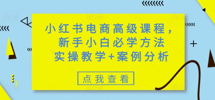 小红书电商高级课程，新手小白必学方法，实操教学+案例分析-成长印记