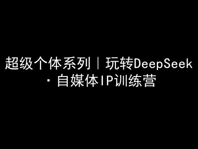 超级个体系列，玩转DeepSeek·自媒体IP训练营，deepseek教程-成长印记